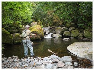 pesca_mosca_serra_2