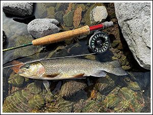 pesca_mosca_serra_1