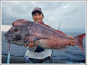 pesca_livebait_2
