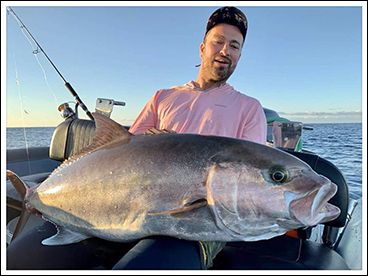 ws_livebait